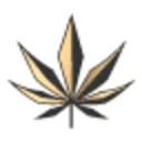 Taste of Cannabis